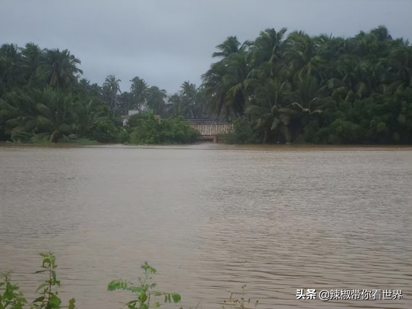海岸线：不负文化之乡美誉的文昌被誉为“阳光东海岸上的明珠”