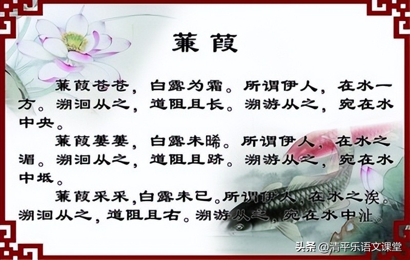 蒹葭原文及翻译八年级下册,蒹葭古诗鉴赏中考题