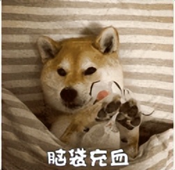 2019年的微信红包记录在哪里,微信的每笔红包能否查出来