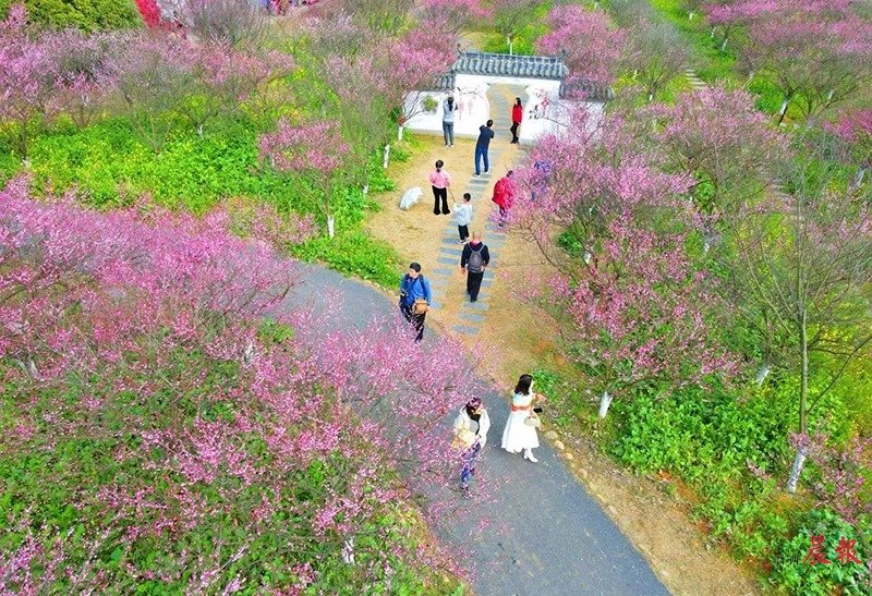 南昌草莓音乐节国庆,10月份草莓音乐节南昌