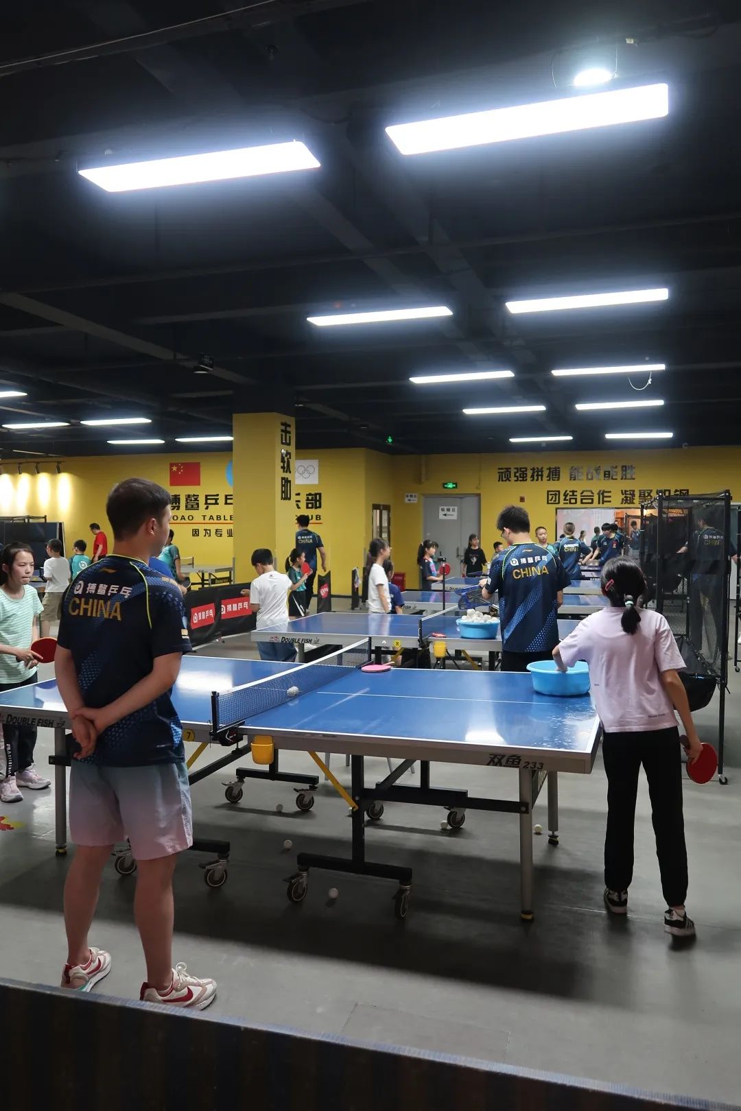 篮球羽毛球乒乓球综合馆,收藏性价比