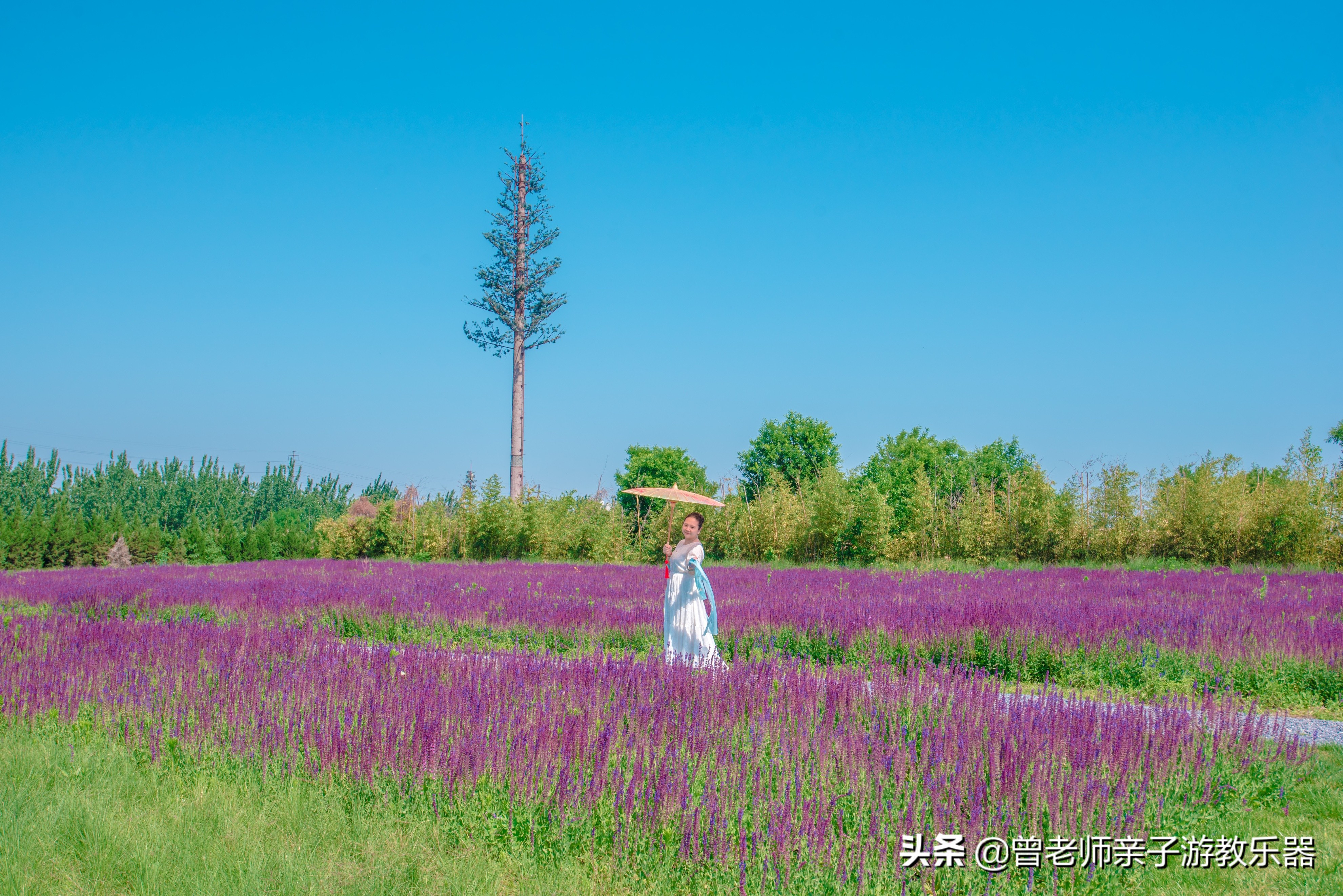 汉长安城未央宫遗址公园露营电话,汉长安城遗址公园露营最新