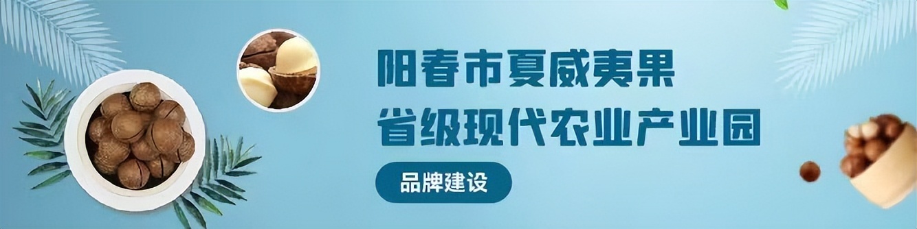 广东夏威夷果种植基地,南宁市夏威夷果种植补贴