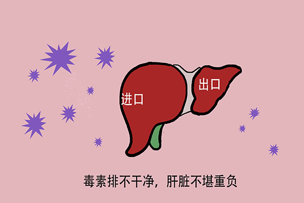 什么导致谷丙转氨酶升高,什么情况下谷丙转氨酶会突然升高