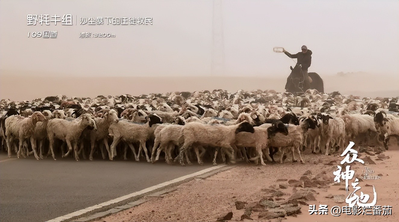 十大值得一看的中国纪录片,震撼的十部中国纪录片