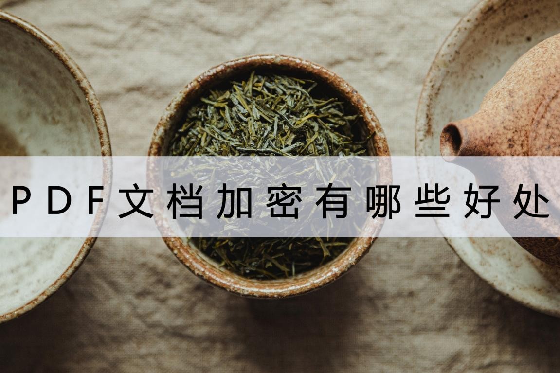 pdf文件怎么能够更好的加密保护,pdf加密方式有哪些