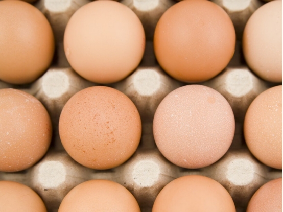 蛋白偏高应吃哪些食物,蛋白量含量较高应该少吃什么食物