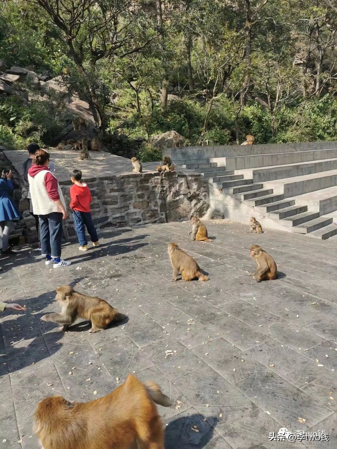 河南省新乡市旅游景点八里沟,河南新乡八里沟风景区图片全景