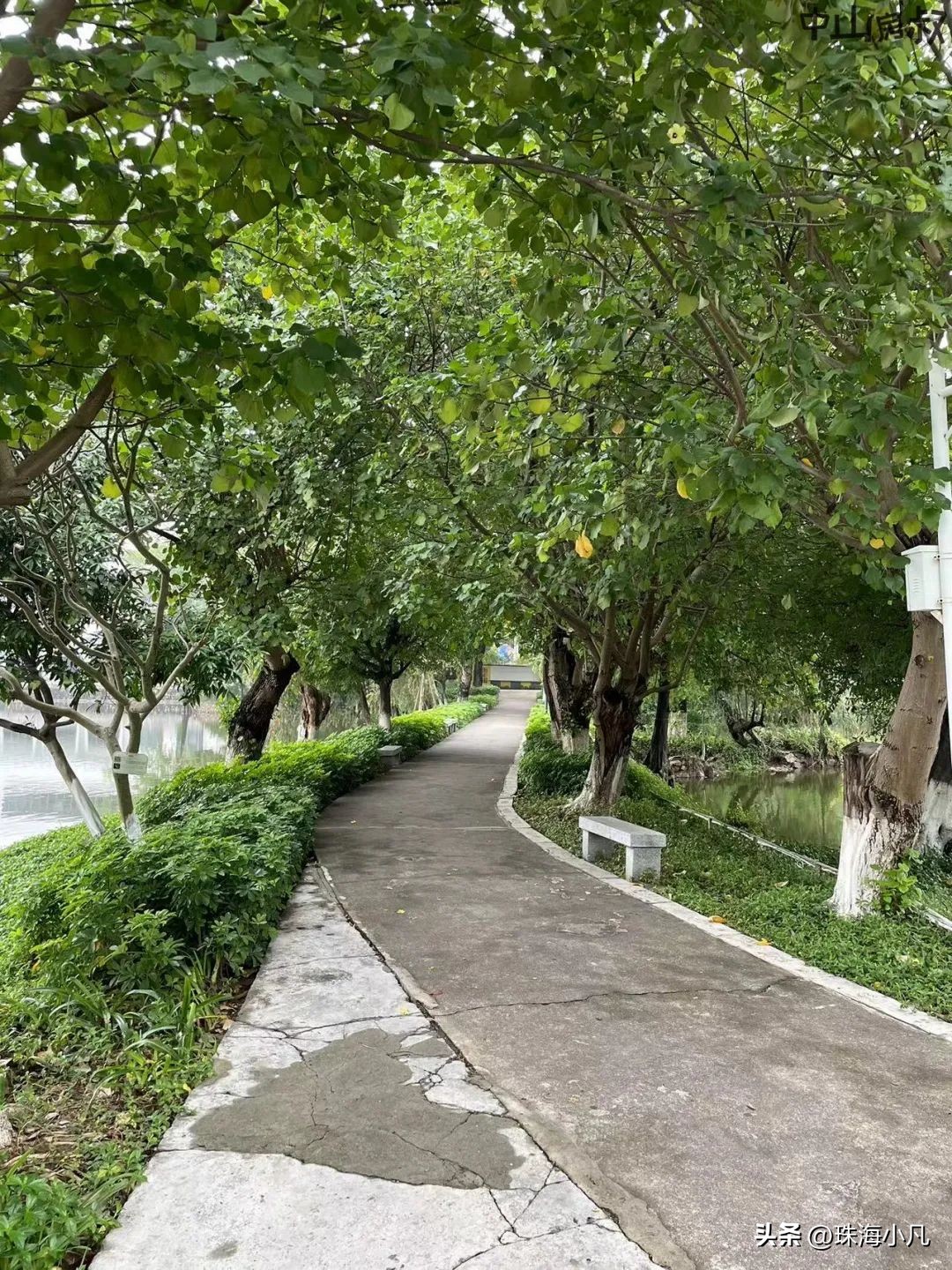 中山市逸仙湖公园改造,中山逸仙湖规划图