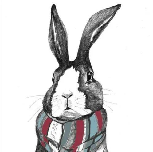 兔八哥头像搞笑,兔八哥头像简笔画