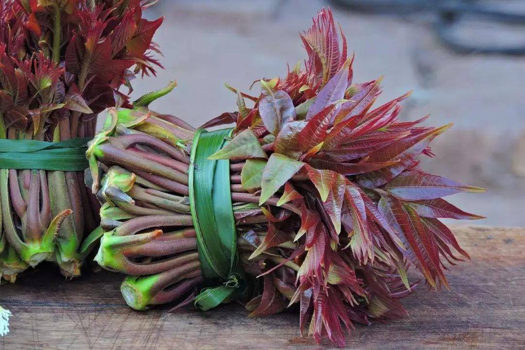 春天旅游必吃的美食,一口尝尽江南春寻找春天的美食