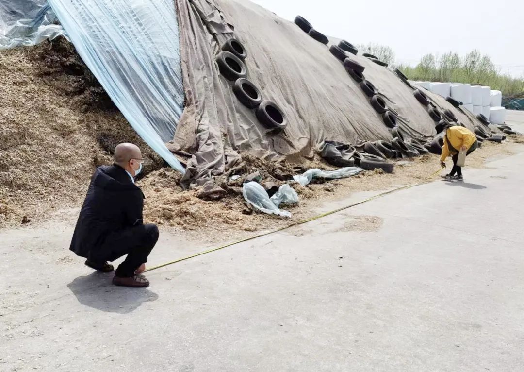 城投集团特色工作亮点,创新招商模式青岛打造引资新高地