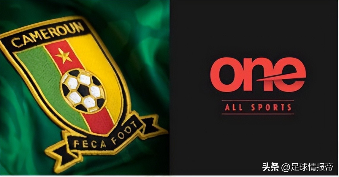 世界杯瑞士vs喀麦隆比赛的结果,世界杯预测瑞士喀麦隆谁赢