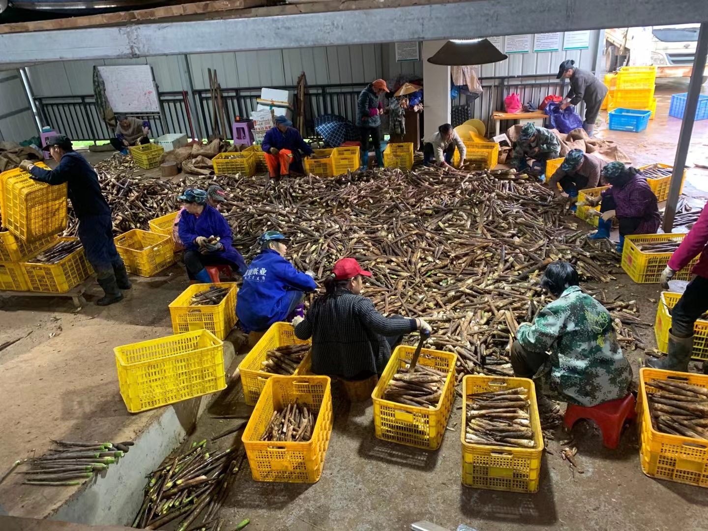 40到50岁创业商业思维致富经,创业者说科技兴国