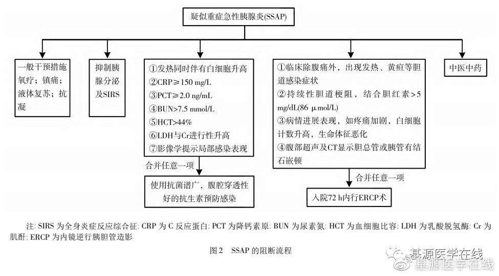 重症急性胰腺炎诊断标准指南,预防急性胰腺炎最佳方法