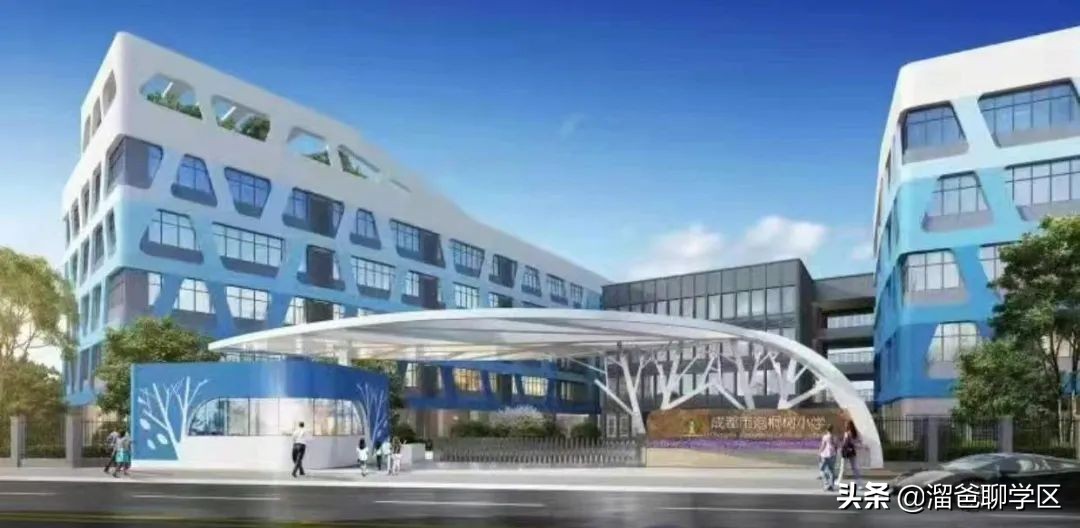 青羊新城哪个片区发展潜力大,青羊新城板块图