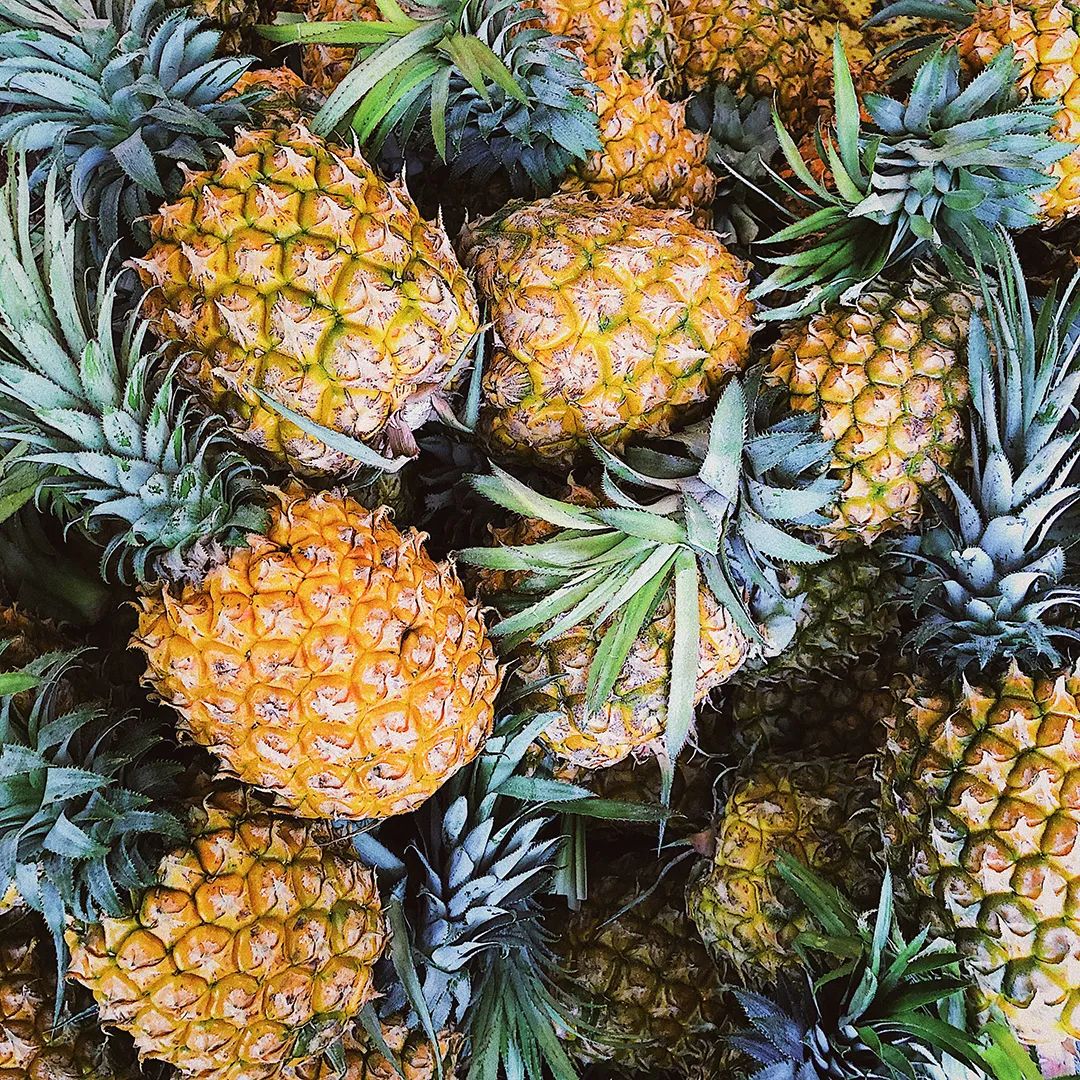 现在为什么菠萝很少凤梨很多,市场上的菠萝和凤梨怎么区分