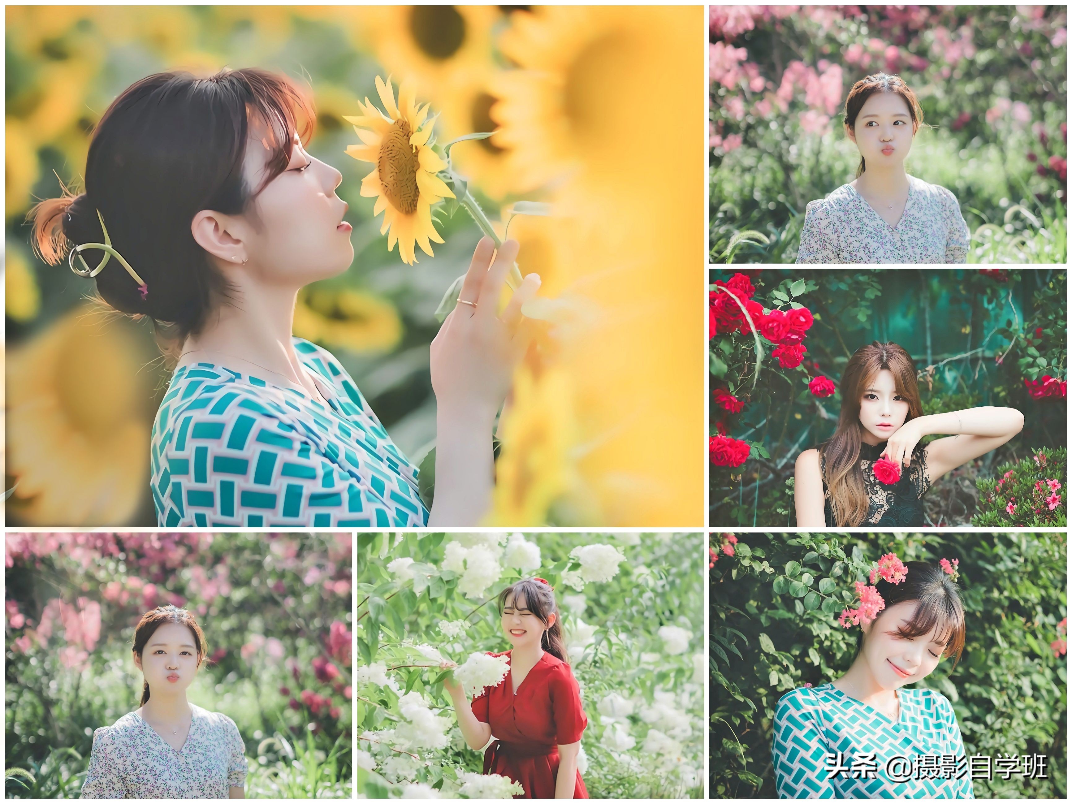 学会这6个摄影构图技巧,学拍照片六个人的技巧和方法