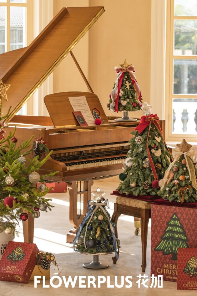 flowerplus花加女神节,flowerplus花加团购