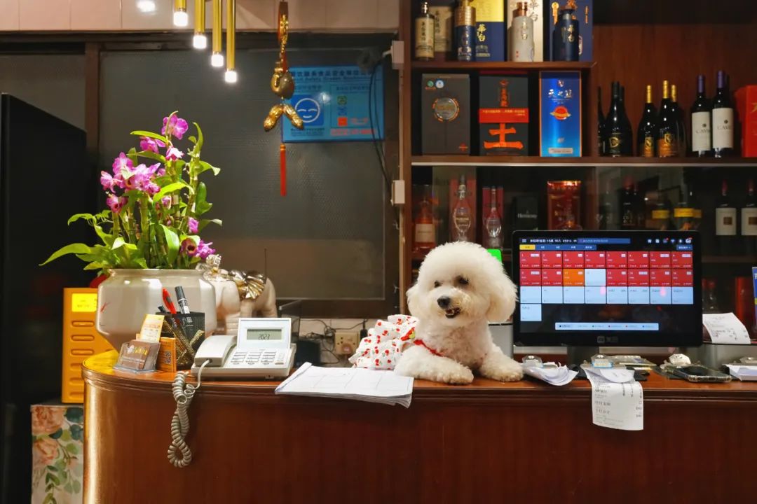 在顺德的一日三餐,在顺德一天吃8餐