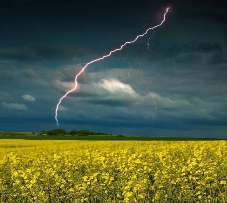 雷击致死事件,雷击致人死亡事件
