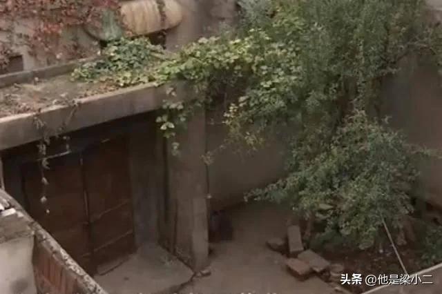 被惹怒后的老实人,惹怒老实人一家被灭门