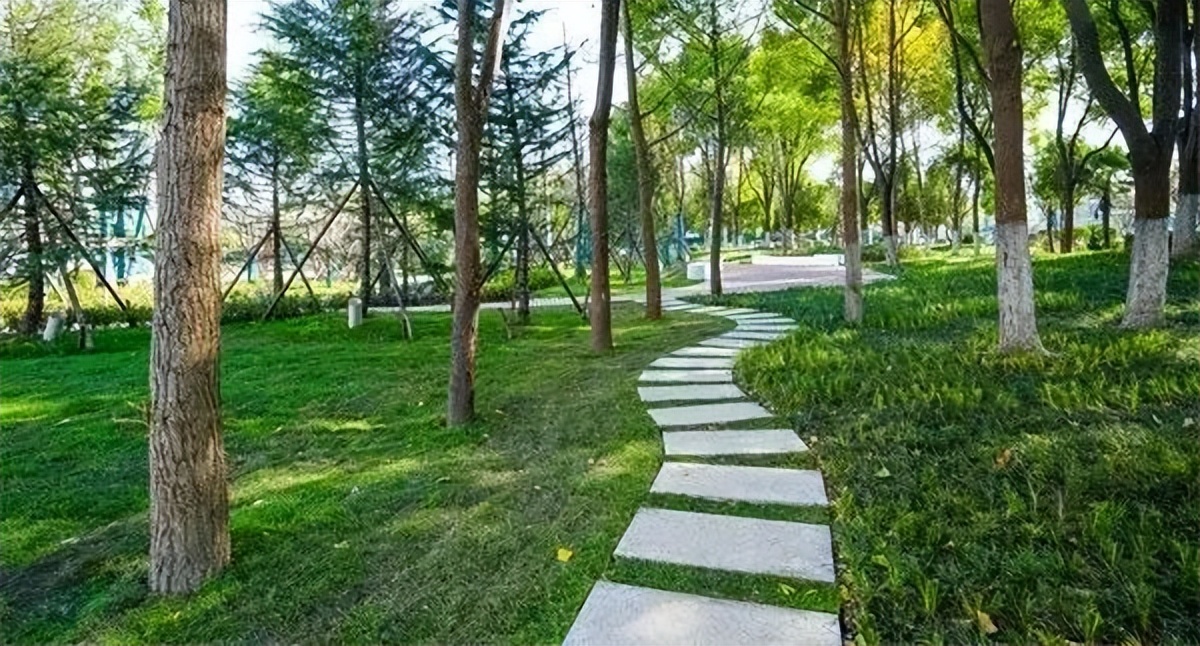 血库告急紧急献血报道疫情,血库告急多地发倡议献血