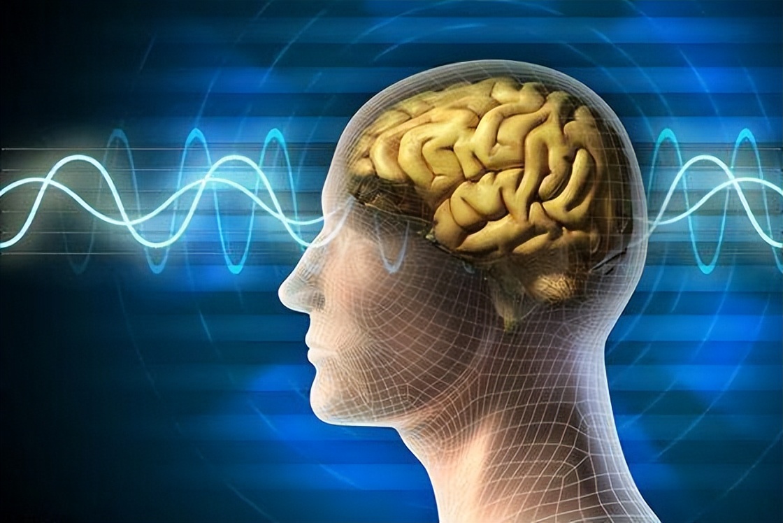 藏红花的副作用喝藏红花的禁忌,藏红花的作用与禁忌和副作用