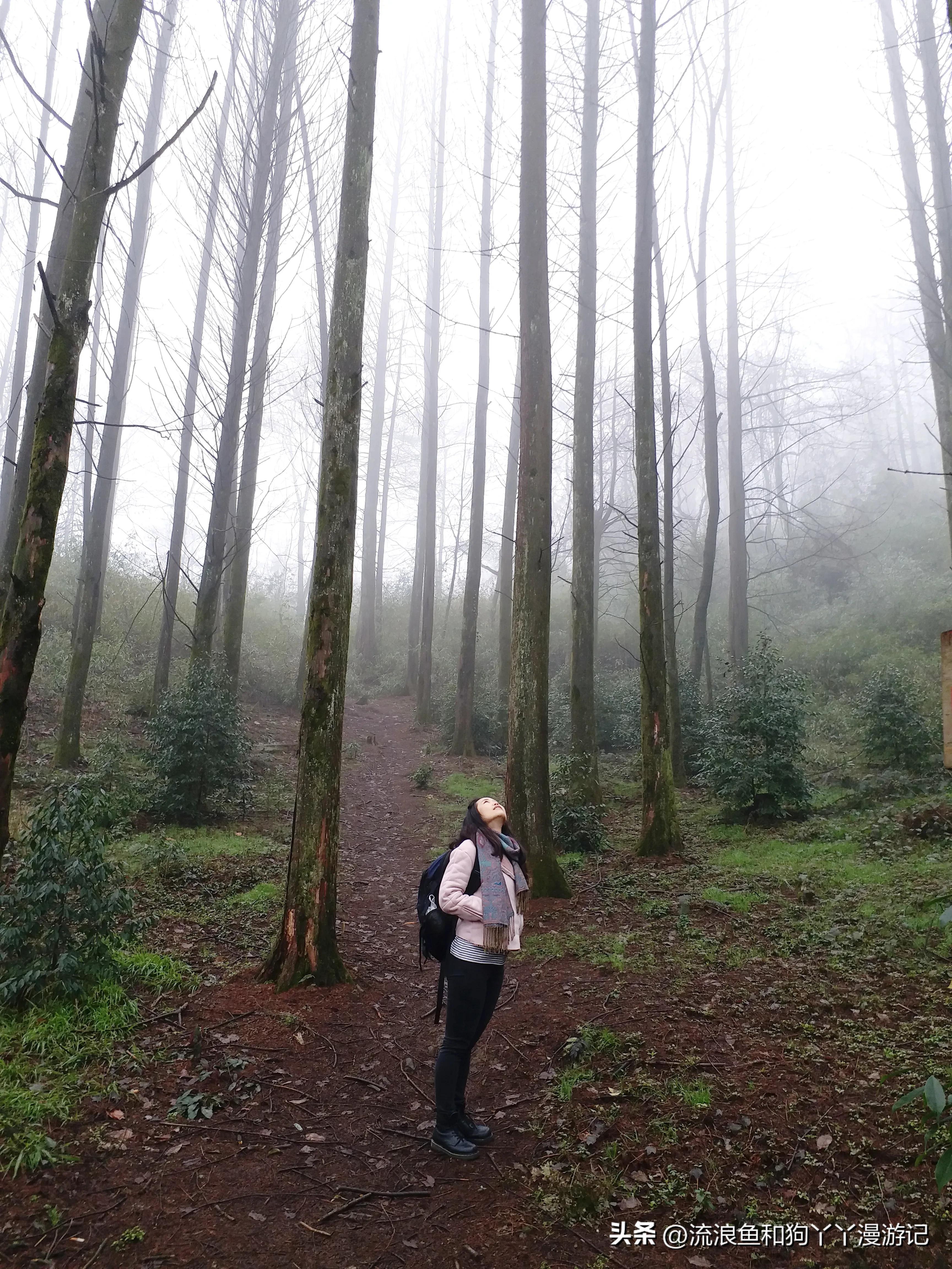 四月份成都近郊一日游好去处,2022成都近郊看雪一日游最佳去处