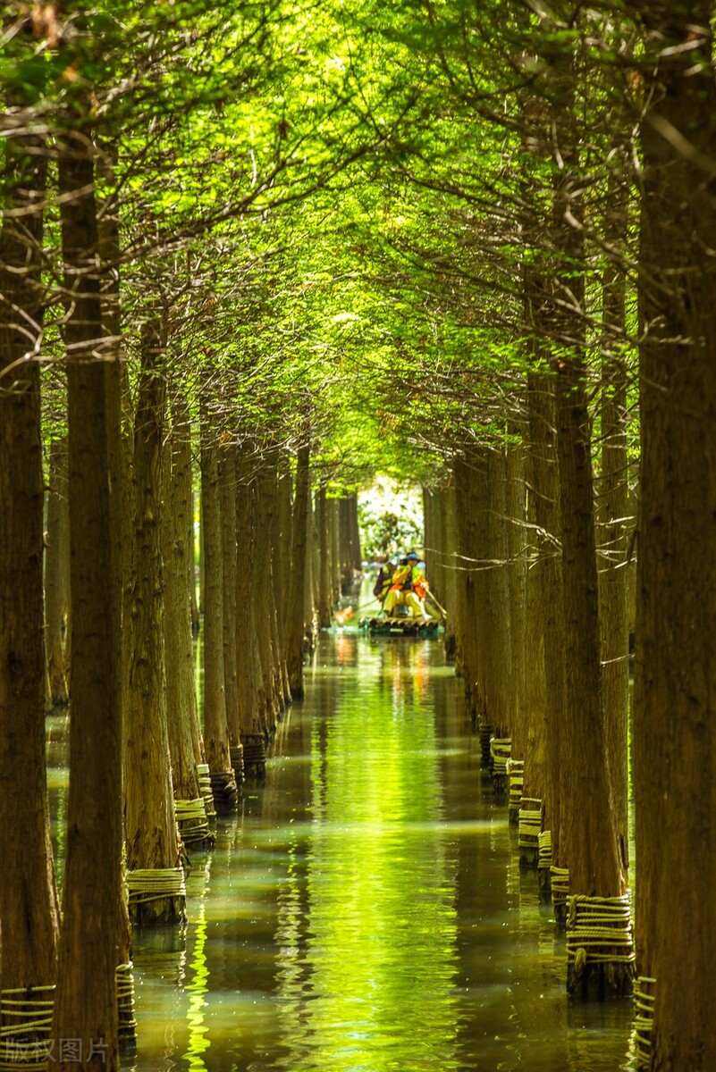 云南昆明春城游玩攻略,春城之约昆明旅游攻略