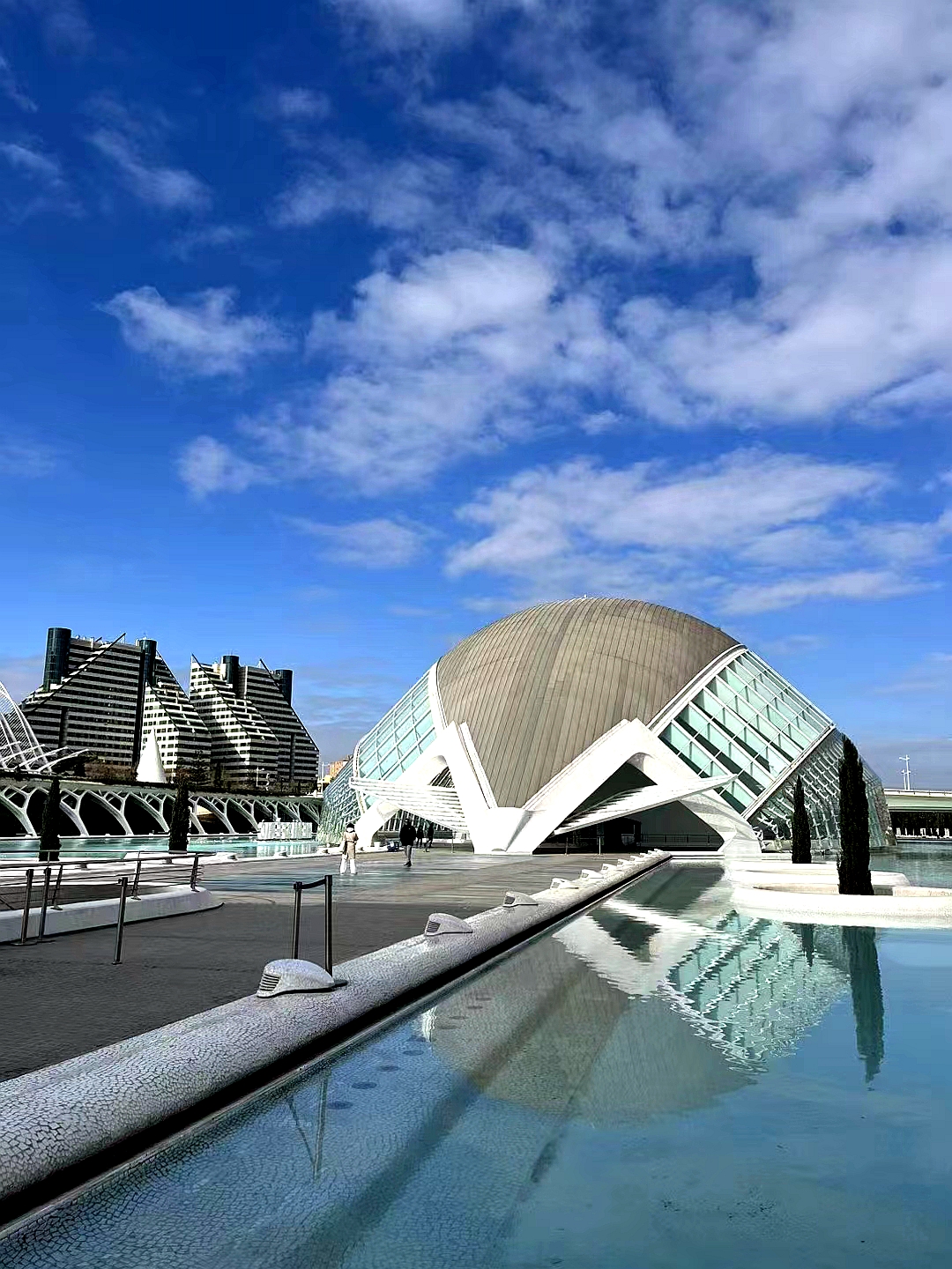 彩色旅图·西欧纪行｜瓦伦西亚的情人节，小贩在饭店外面卖鲜花