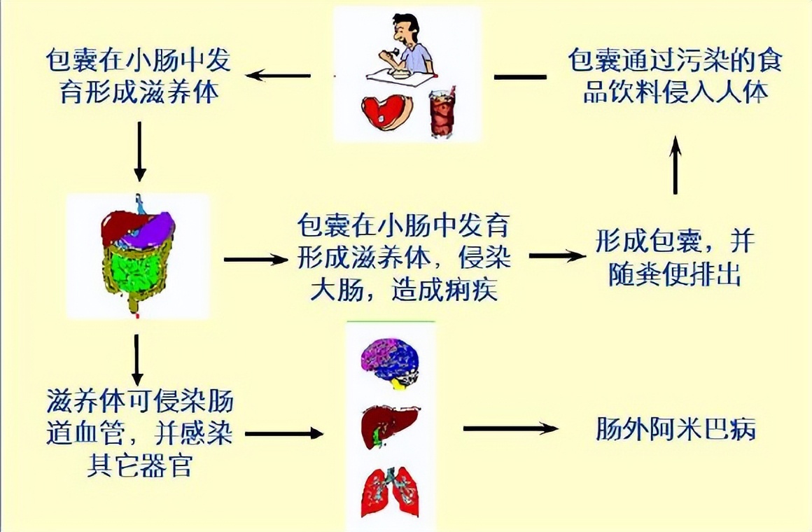 黄建荣教授：以肝损伤为主要表现的寄生虫病诊治进展