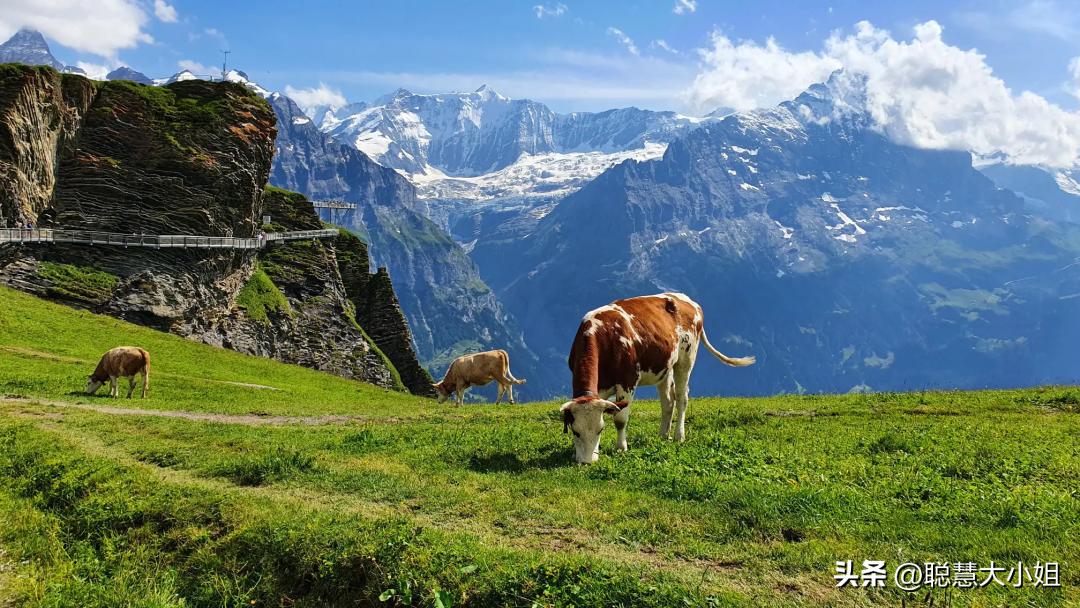 初游欧洲走进浪漫之都,欧洲游推荐自由行