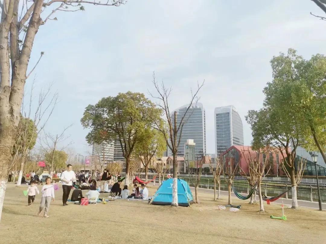 大草坪放风筝,草坪大风筝