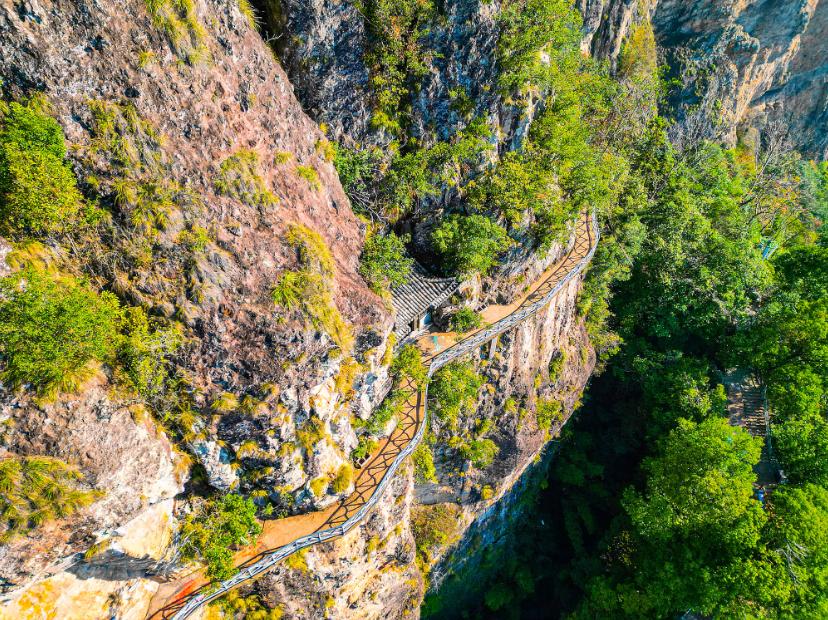 在温过大年！这几条“百县千碗”美食体验线路真的好吃又好玩