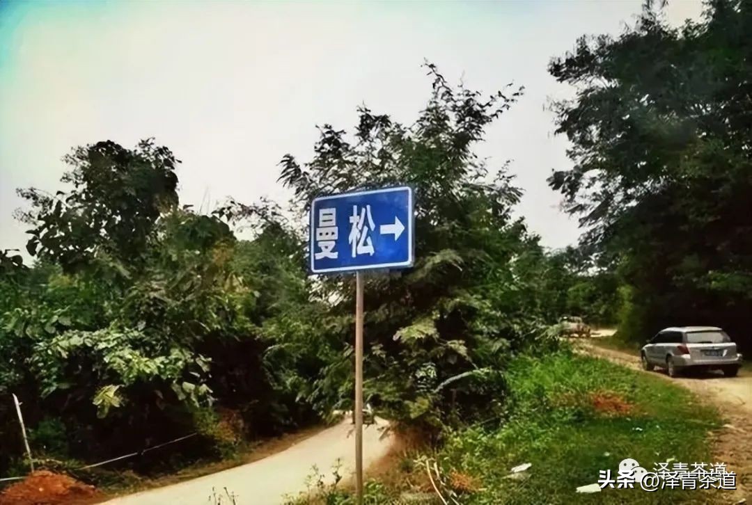 倚邦曼松贡茶图片大全,走遍万千山水