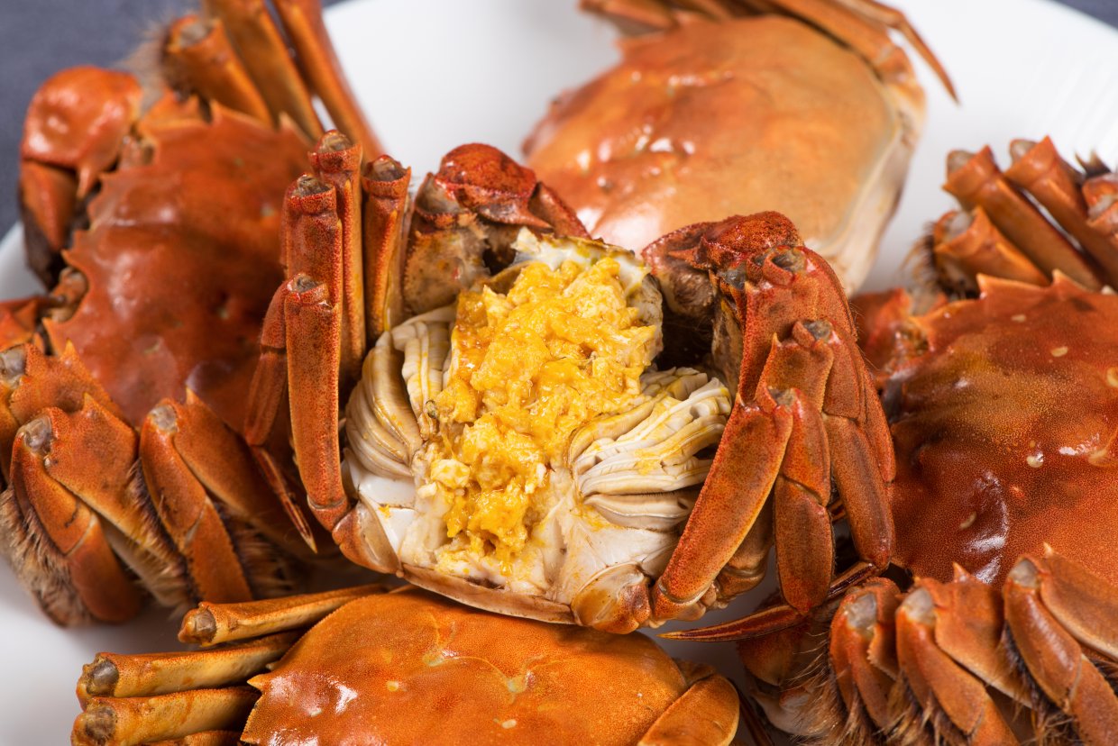 给蟹奴虫寄生的螃蟹可以吃吗,蟹奴是如何控制螃蟹的