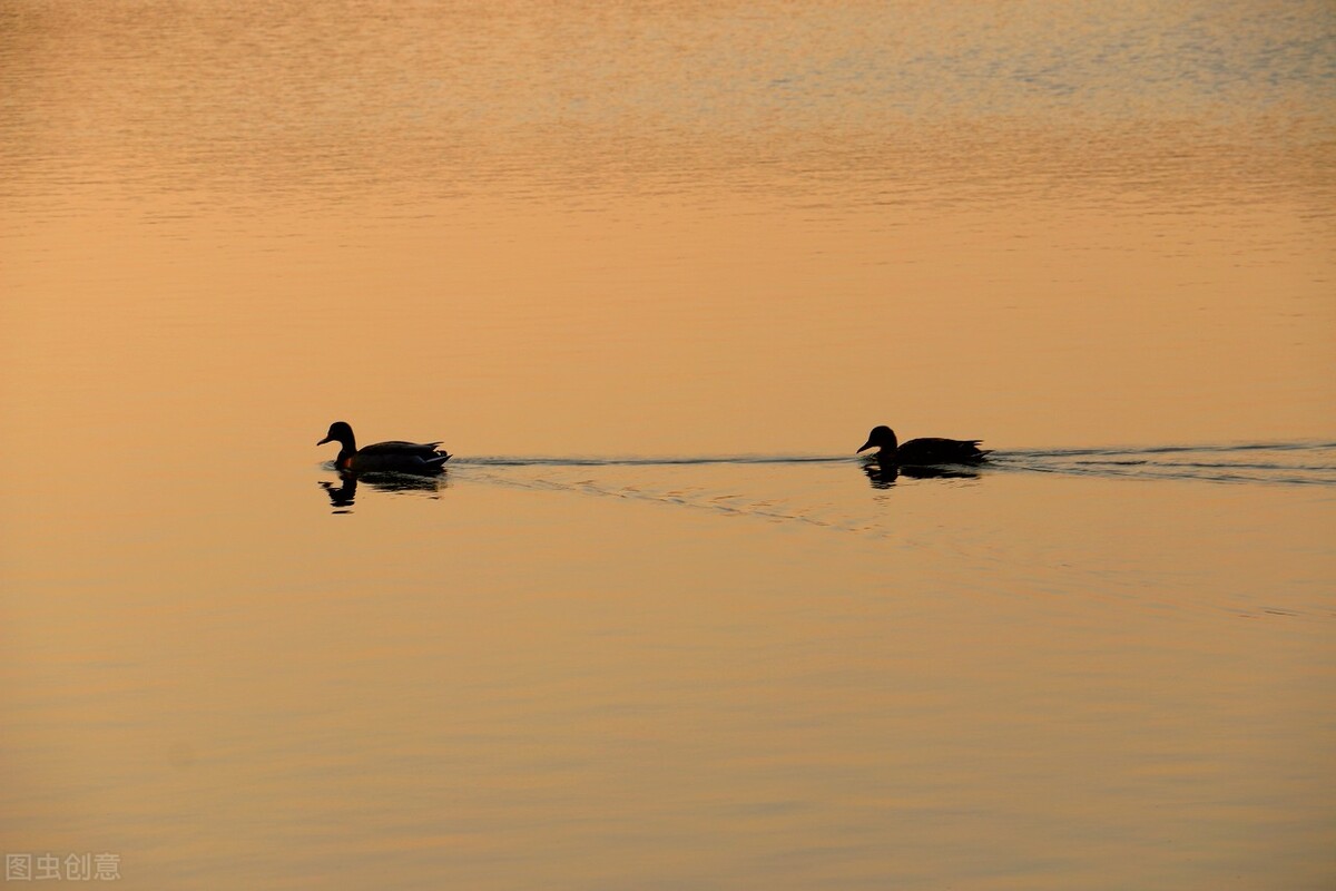 肛门湿黏，原来是脾湿外泄！讲一张方子，化寒湿，净魄门，请体会