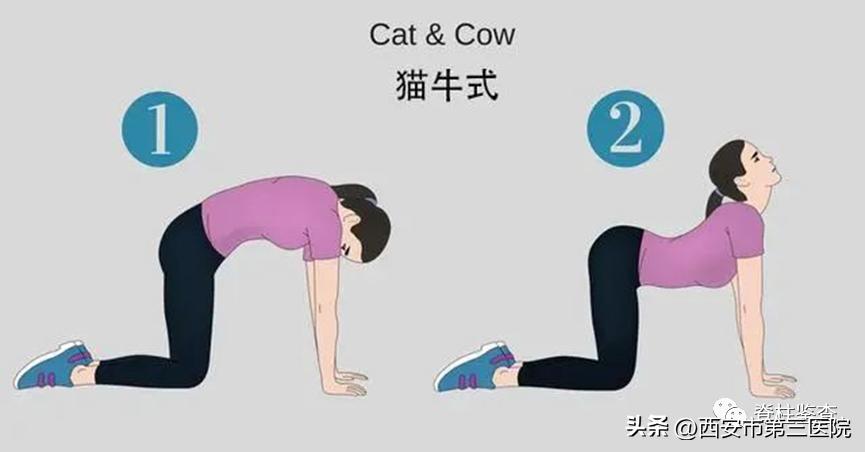 五分钟带你看懂腰椎间盘突出,腰椎间盘全面讲解及调理方法