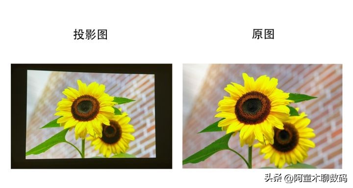 猫我x3pro智能投影仪评测,oppofindx3provsvivox70pro