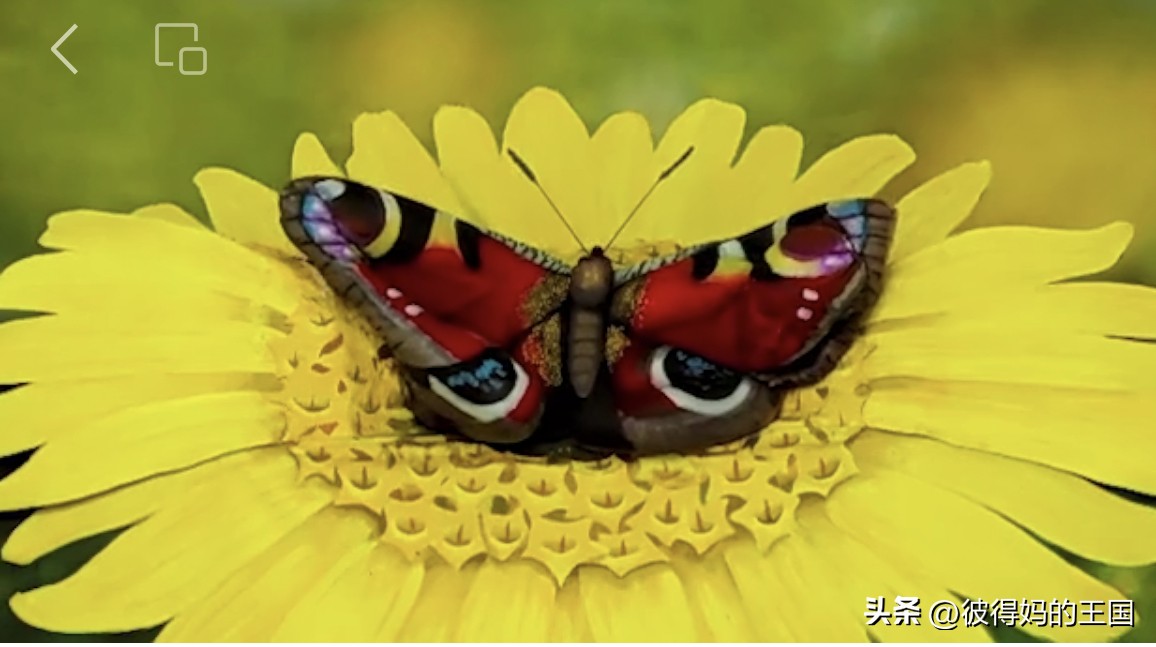 惊艳你的人体艺术！