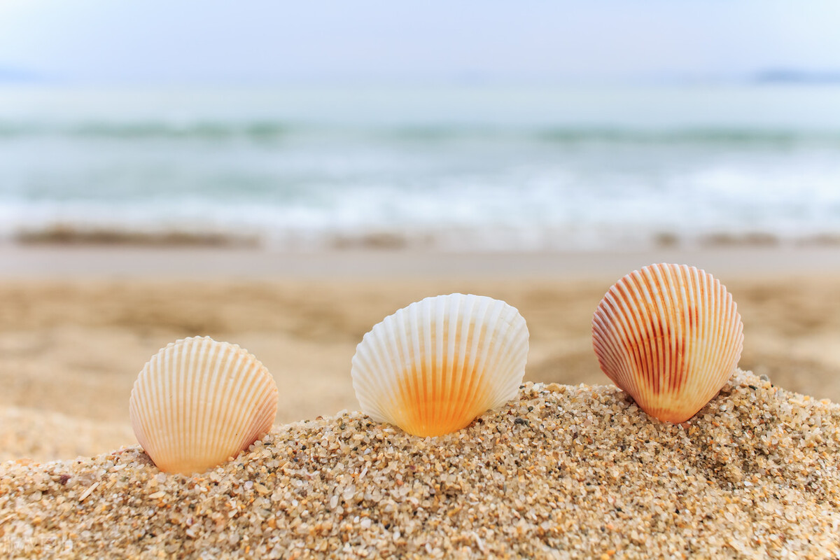 为什么人民币上有一个错别字不改,人民币上错别字为何不改正