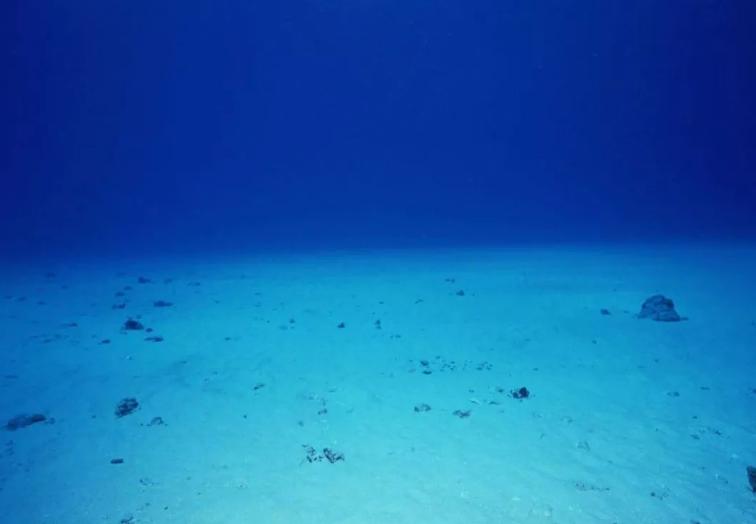 尼莫点未解之谜,尼莫点的奇怪现象