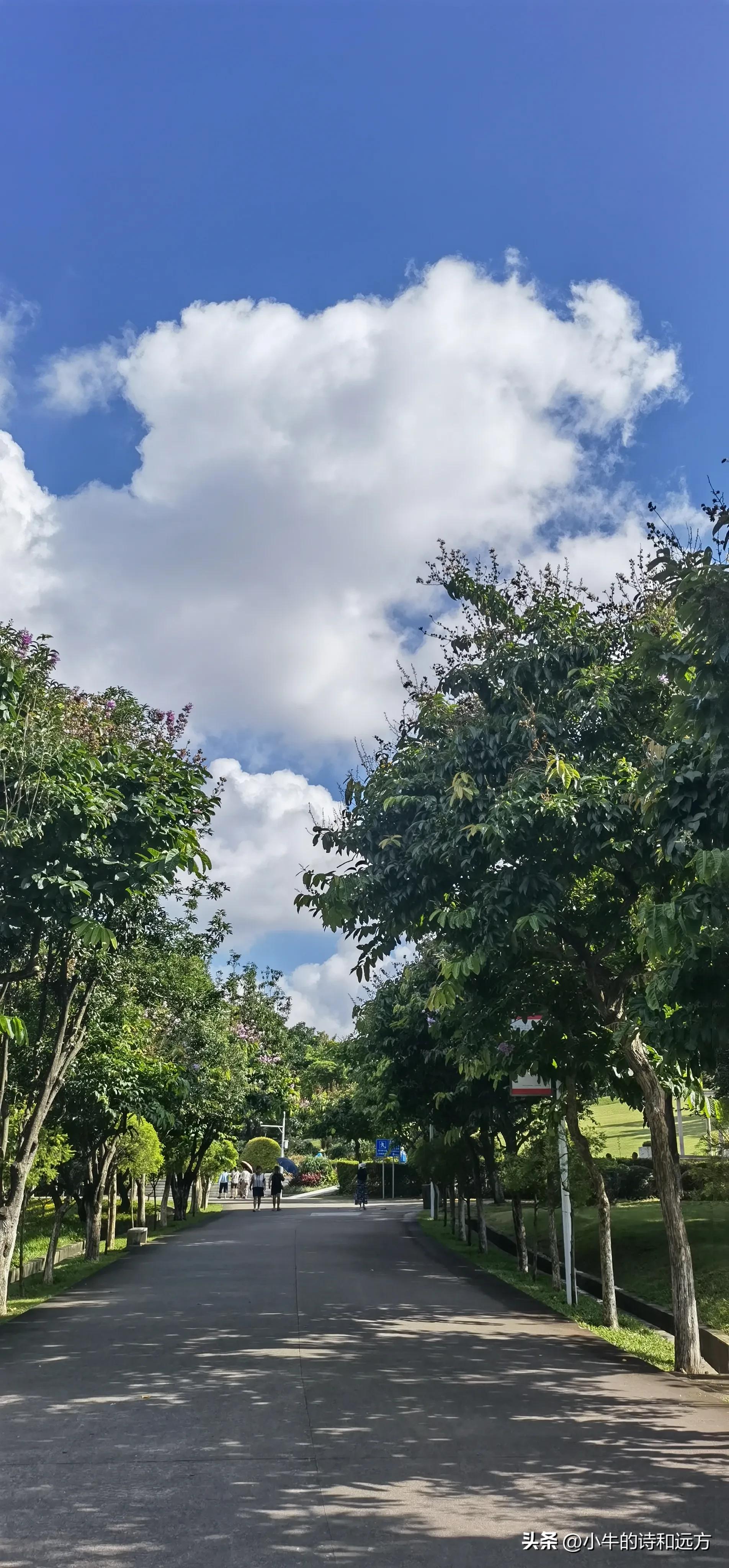 溜娃好去处就在紫谷萌宠乐园,青龙湖湿地公园遛娃攻略