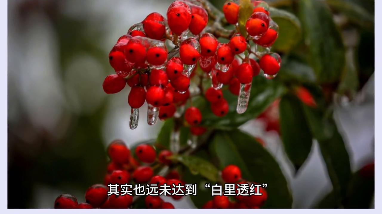 皮肤毛孔粗大发黄如何改善,皮肤发黄长痘痘毛孔粗大