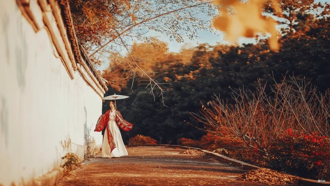 最经典的现代春节诗词,最好的新年古诗词经典