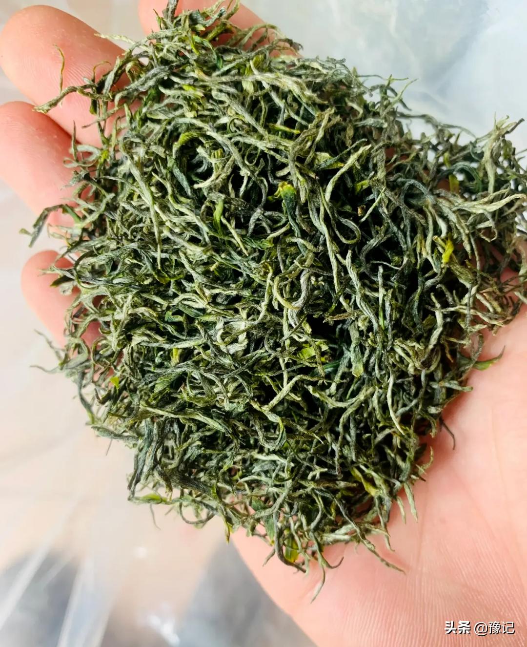 信阳毛尖小浑淡和大清浓谁正宗,信阳毛尖为什么叫小浑蛋