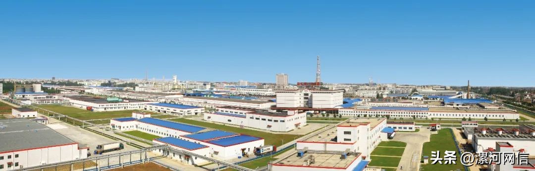 双汇有哪些肉类产品,双汇用品质打造区域第一肉类品牌