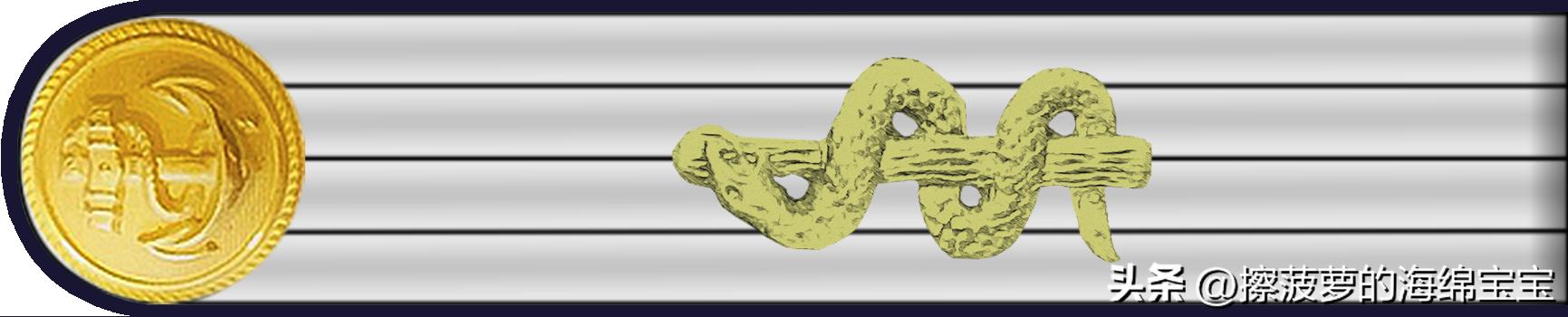 二战德国国防军医疗兵军衔标志