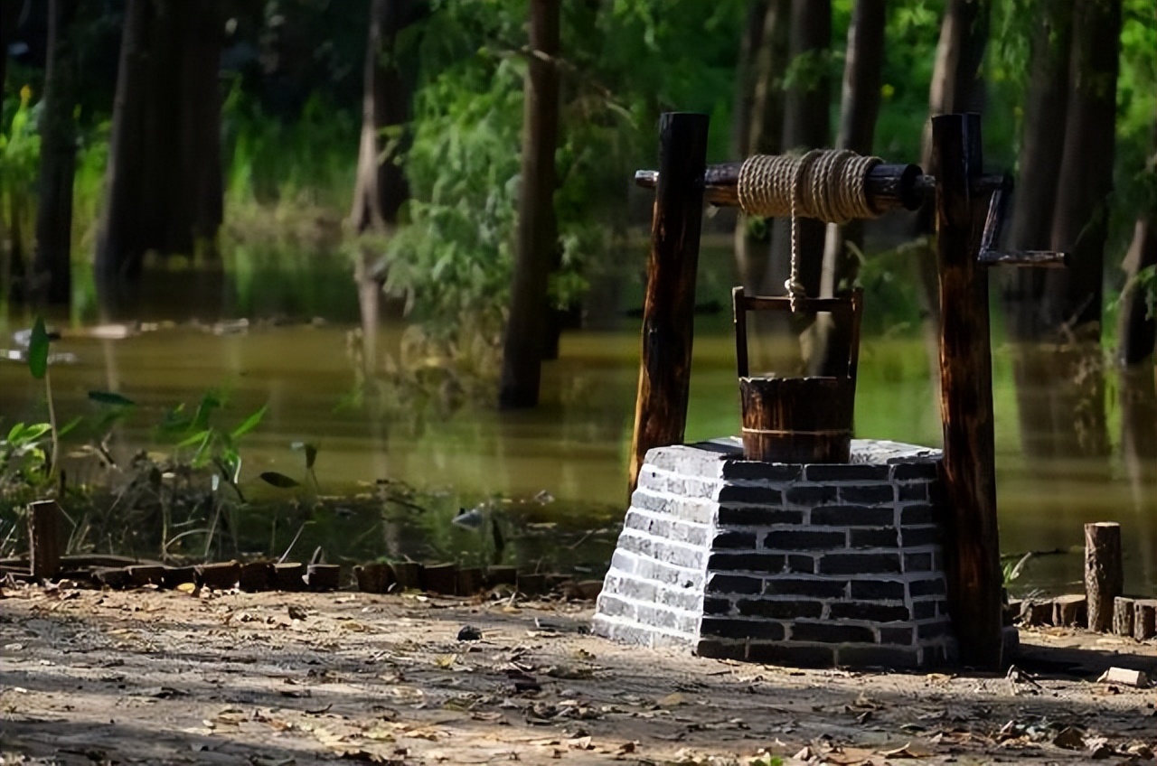 民间老话门前不栽树,屋前不栽竹屋后不栽树是什么意思